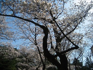 IMG_3287.jpg