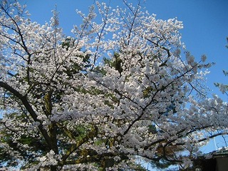 IMG_3290.jpg